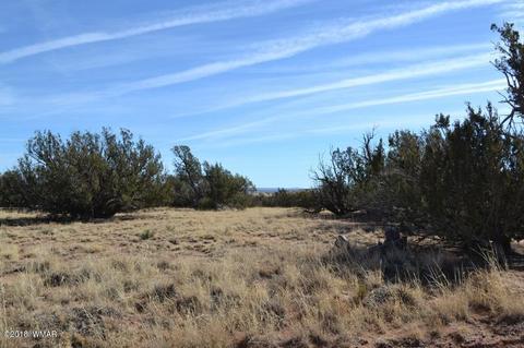 3845 Petersen Rd, Snowflake, AZ 85937 photo 4