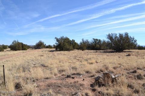 3845 Petersen Rd, Snowflake, AZ 85937 photo 2