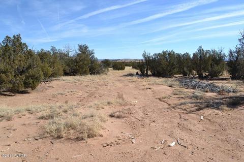 3845 Petersen Rd, Snowflake, AZ 85937 photo 5