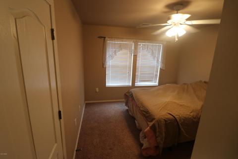 767 E Pebble Ln, Taylor, AZ 85939 photo 12