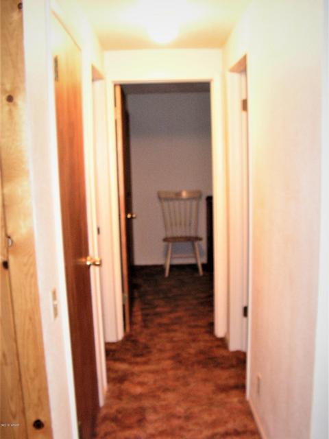 3595 Black Bear Run, Overgaard, AZ 85933 photo 24