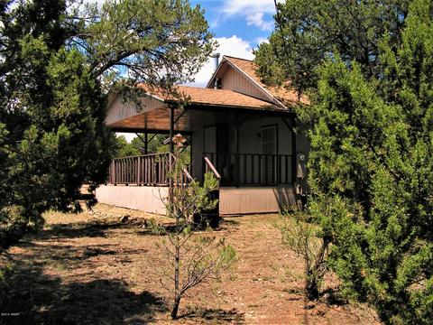 3595 Black Bear Run, Overgaard, AZ 85933 photo 13