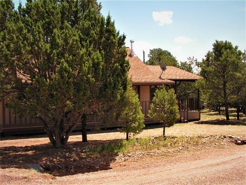 3595 Black Bear Run, Overgaard, AZ 85933 photo 3
