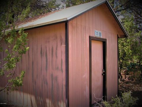3595 Black Bear Run, Overgaard, AZ 85933 photo 31