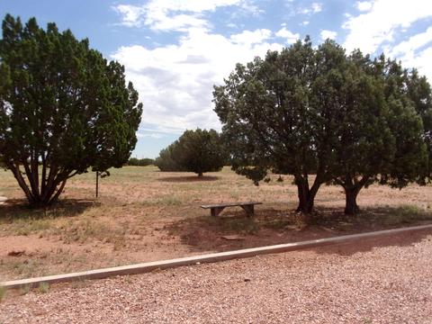 4590 E Pinto Rd, Snowflake, AZ 85937 photo 5