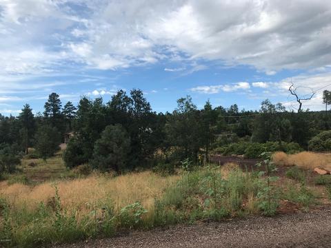 6274 Apache Trl, Show Low, AZ 85901 photo 5