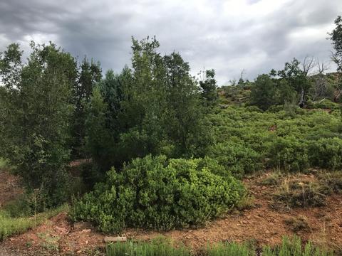 6274 Apache Trl, Show Low, AZ 85901 photo 4