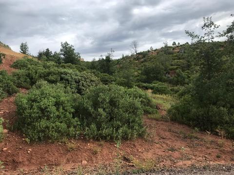 6274 Apache Trl, Show Low, AZ 85901 photo 2