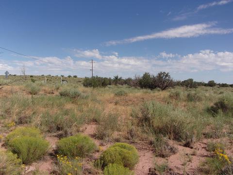 9222 E Concho Hwy, Snowflake, AZ 85937 photo 7