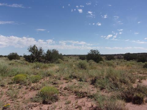9222 E Concho Hwy, Snowflake, AZ 85937 photo 6