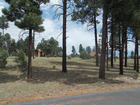2242 Bear Claw Dr, Overgaard, AZ 85933 photo 2