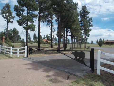 2242 Bear Claw Dr, Overgaard, AZ 85933 photo 1