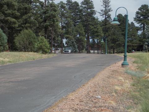 2242 Bear Claw Dr, Overgaard, AZ 85933 photo 5