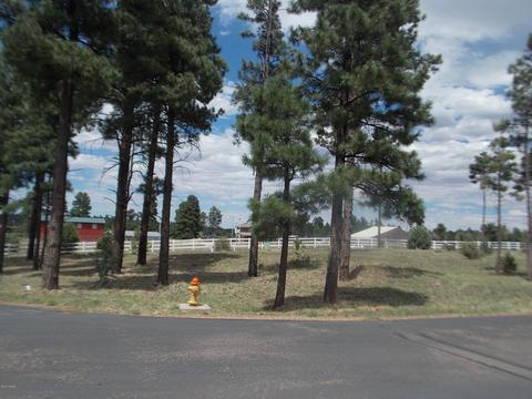 2242 Bear Claw Dr, Overgaard, AZ 85933 photo 4
