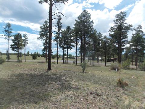 2242 Bear Claw Dr, Overgaard, AZ 85933 photo 7