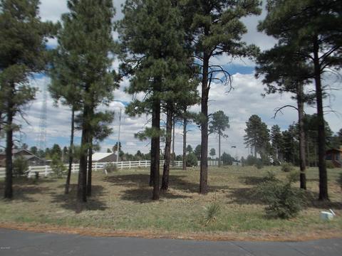 2242 Bear Claw Dr, Overgaard, AZ 85933 photo 3