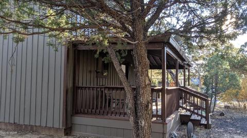2025 Lone Mountain Rd, Overgaard, AZ 85933 photo 9
