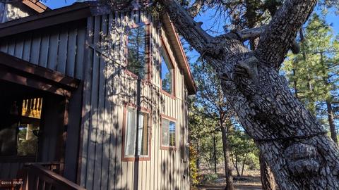 2025 Lone Mountain Rd, Overgaard, AZ 85933 photo 3