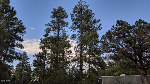 2025 Lone Mountain Rd, Overgaard, AZ 85933 photo 30