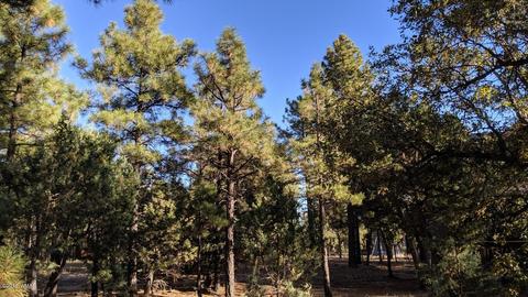 2025 Lone Mountain Rd, Overgaard, AZ 85933 photo 31