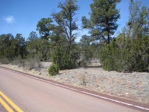 2901 Buckskin Road Rd, Overgaard, AZ 85933