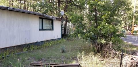 548 Willow Run, Lakeside, AZ 85929 photo 4
