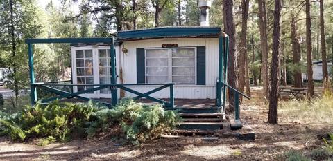 548 Willow Run, Lakeside, AZ 85929 photo 23