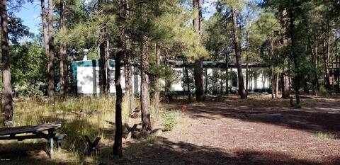 548 Willow Run, Lakeside, AZ 85929 photo 9