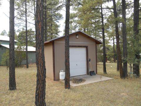 2958 Windmill Cir, Overgaard, AZ 85933 photo 11