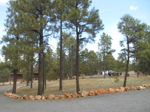 2958 Windmill Cir, Overgaard, AZ 85933 photo 12