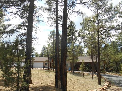 2958 Windmill Cir, Overgaard, AZ 85933 photo 4