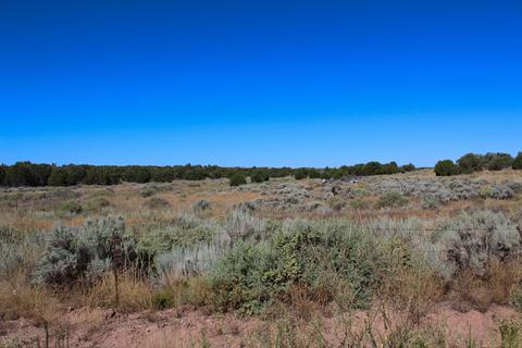 3982 Freeman Holw, Snowflake, AZ 85937 photo 3