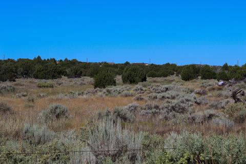 3982 Freeman Holw, Snowflake, AZ 85937 photo 6