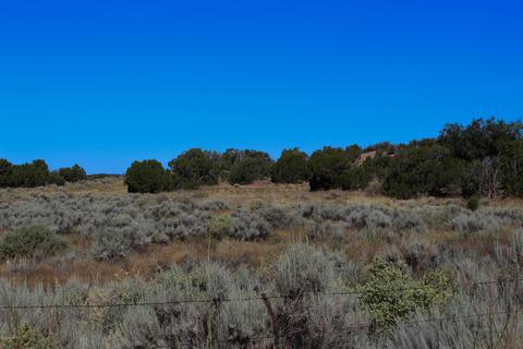 3982 Freeman Holw, Snowflake, AZ 85937 photo 4