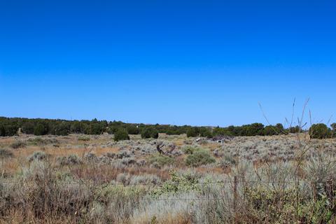 3982 Freeman Holw, Snowflake, AZ 85937 photo 10