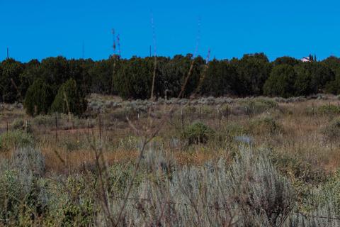 3982 Freeman Holw, Snowflake, AZ 85937 photo 9