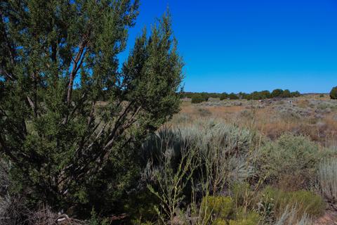 3982 Freeman Holw, Snowflake, AZ 85937 photo 2