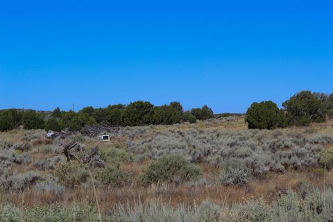 3982 Freeman Holw, Snowflake, AZ 85937 photo 5