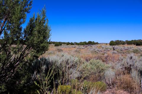 3982 Freeman Holw, Snowflake, AZ 85937 photo 1