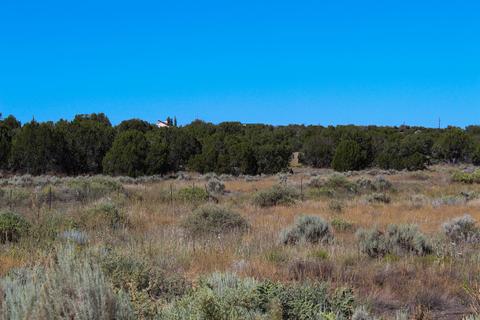 3982 Freeman Holw, Snowflake, AZ 85937 photo 8