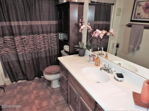 3974 Mistletoe Dr, Pine, AZ 85544 photo 23