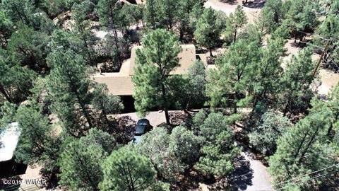 3974 Mistletoe Dr, Pine, AZ 85544 photo 3