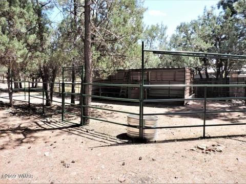 3974 Mistletoe Dr, Pine, AZ 85544 photo 15