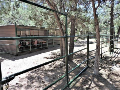 3974 Mistletoe Dr, Pine, AZ 85544 photo 16