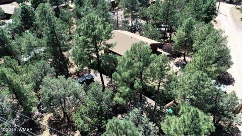 3974 Mistletoe Dr, Pine, AZ 85544 photo 34