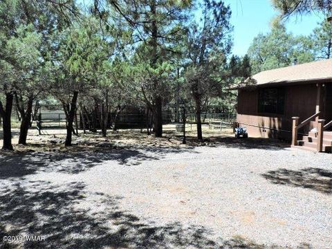3974 Mistletoe Dr, Pine, AZ 85544 photo 33