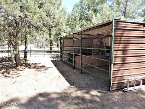 3974 Mistletoe Dr, Pine, AZ 85544 photo 17