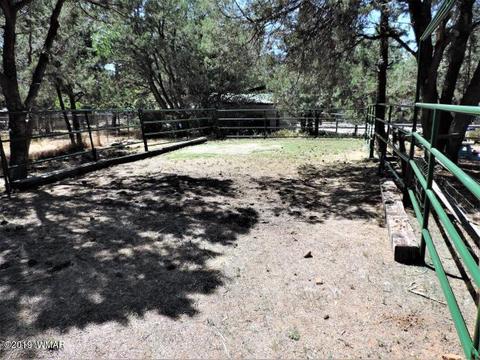 3974 Mistletoe Dr, Pine, AZ 85544 photo 18