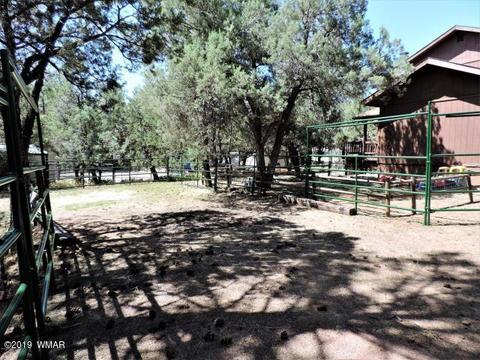 3974 Mistletoe Dr, Pine, AZ 85544 photo 19