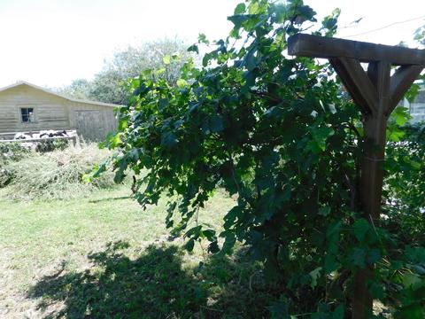 707 S Main St, Eagar, AZ 85925 photo 7